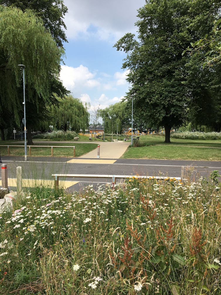 view of wildflower strips by road, green urban area