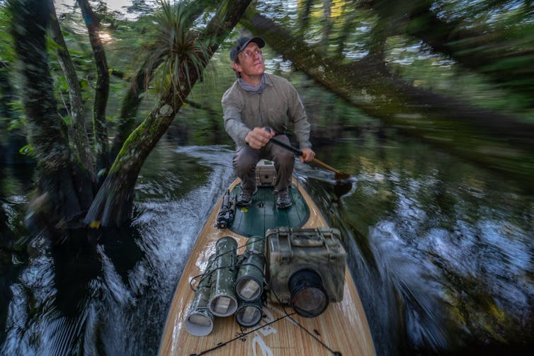 Man in gray clothes and black baseball cap paddles on a board through water in the wilderness