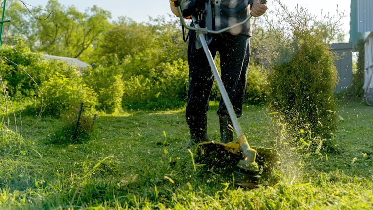 Gardener trimmer lawn