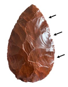 Shiny brown pointed stone tool with arrows pointing to conchoidal fracture sites along its edge