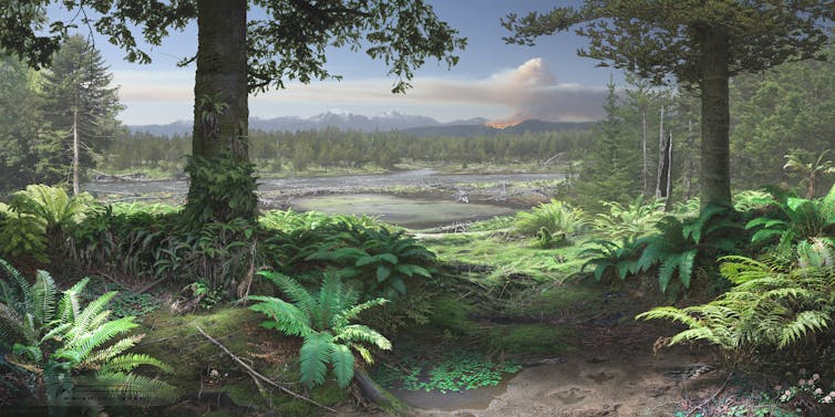 Illustration of a forest full of ferns.