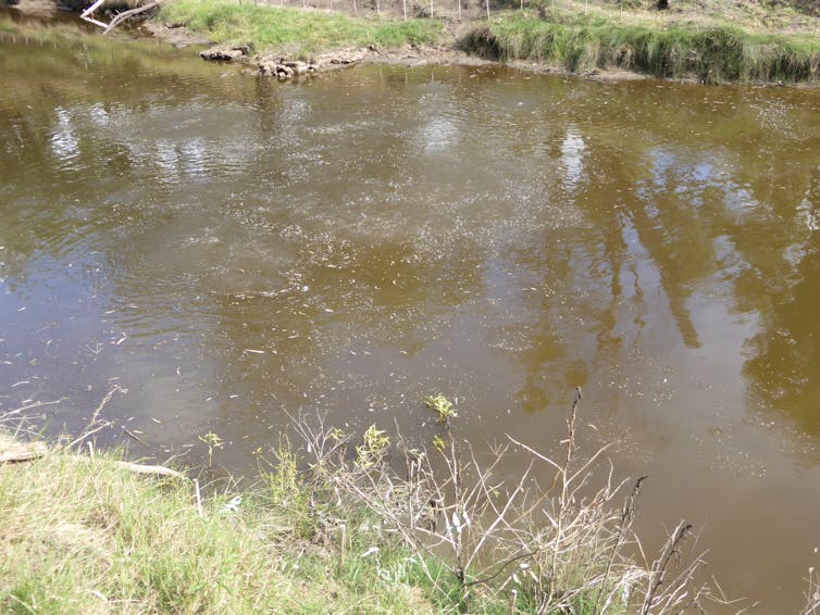 natural gas seep in river, bubbles.