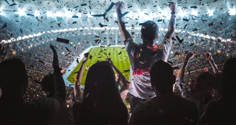 Soccer fans at a match